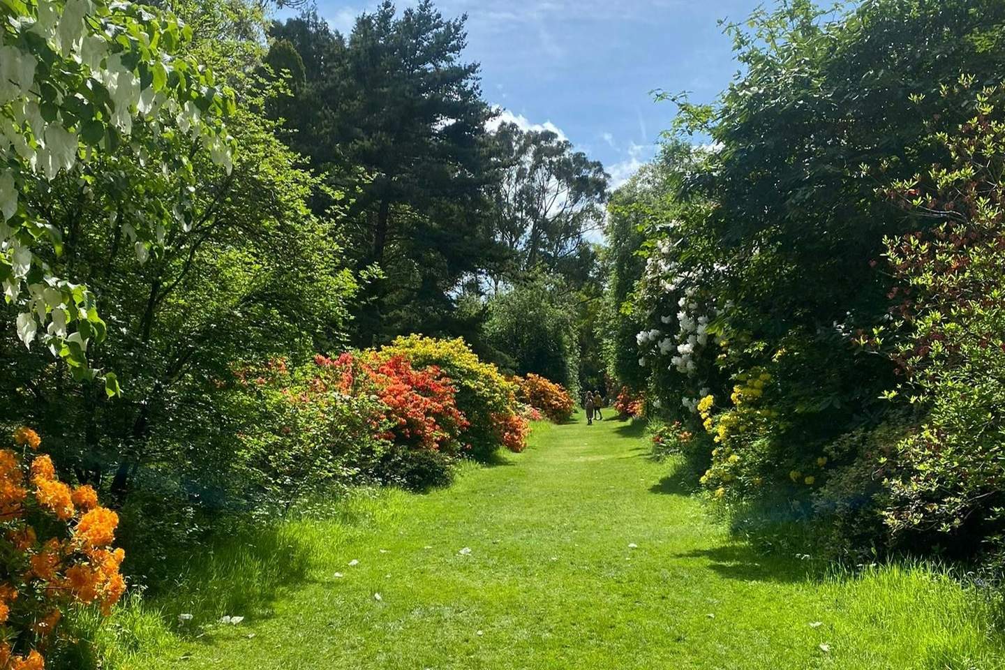 Mount Usher Gardens Mount Usher Gardens