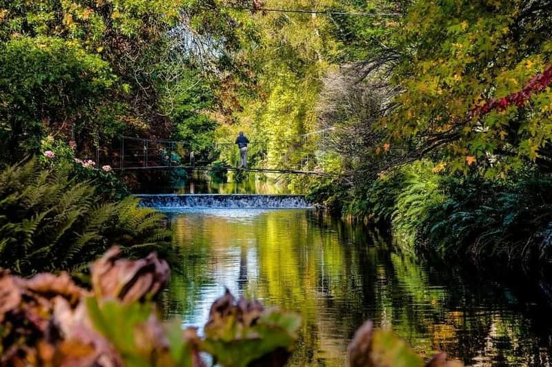 Jardines Avoca Mount Usher: Visita libre