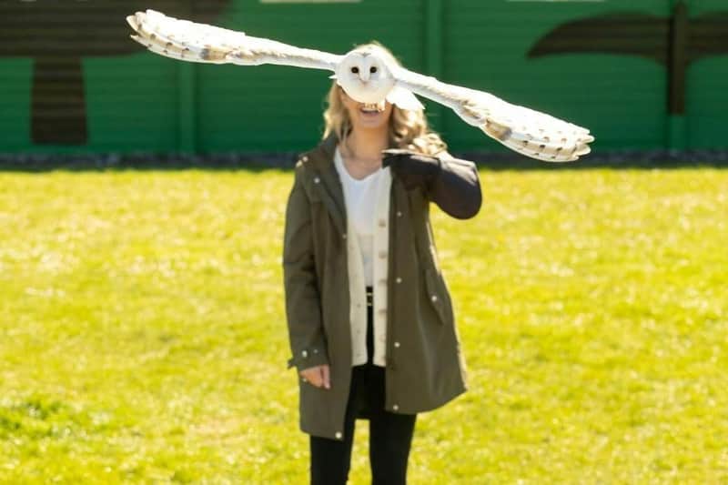 A person in a green coat with an outstretched arm, holding a white owl in flight above a grassy area with a green background.