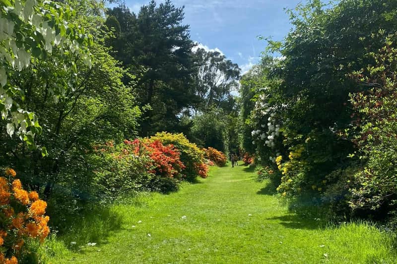 Mount Usher Gardens Mount Usher Gardens